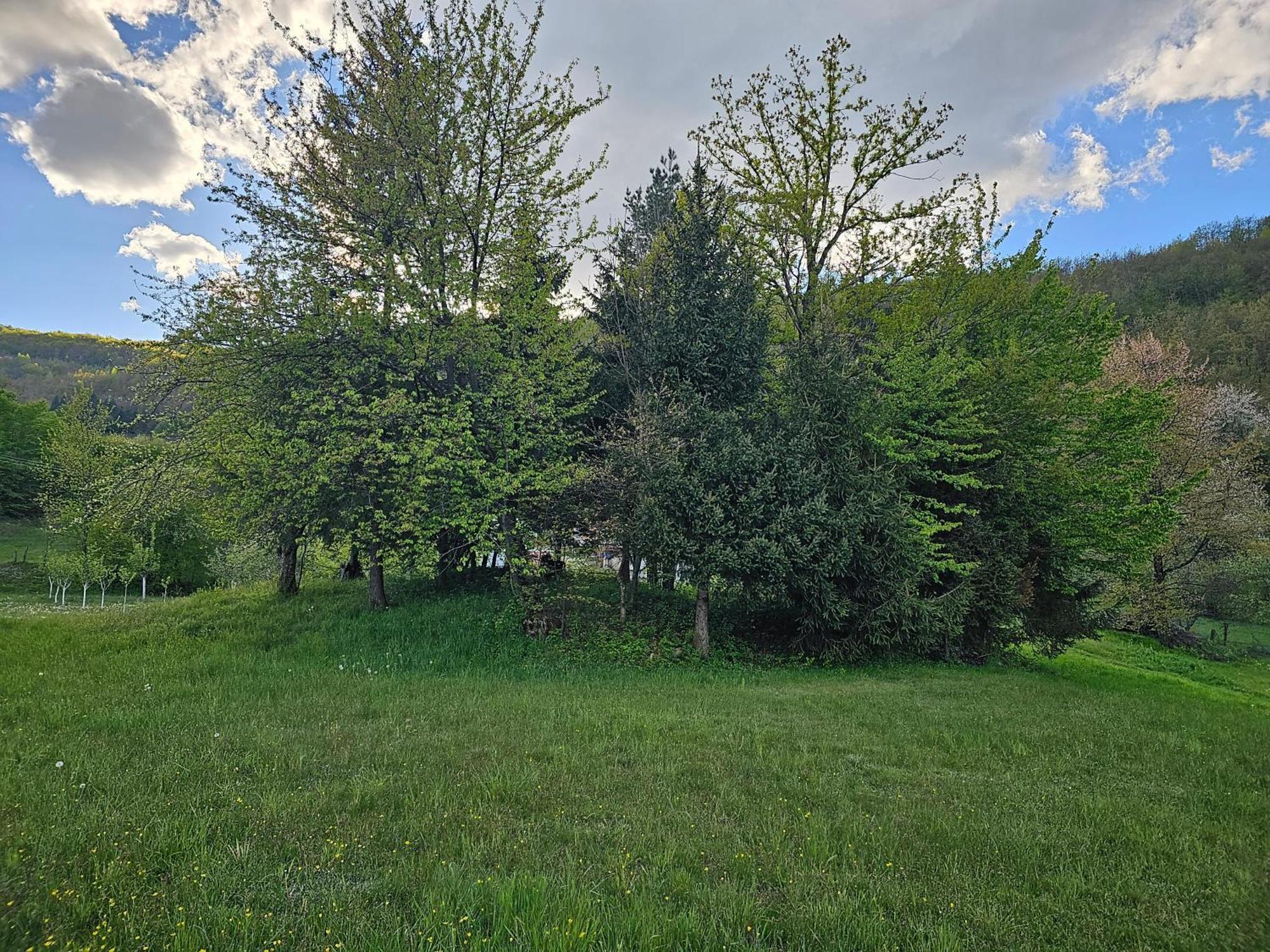 Traditional House Srna Mojkovac Bagian luar foto